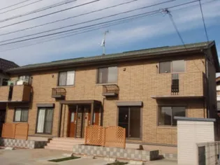 プリモ桜の画像