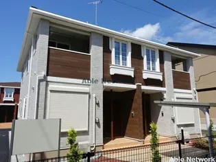 プリムラBの画像