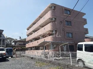 アライバルの画像