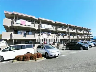 サンガーデンの画像