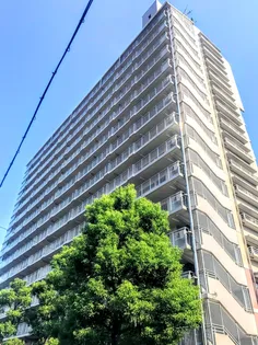 シェモア平野の画像