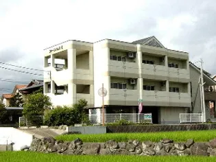 ストーンパレスIIの画像