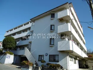 ステューディオ46の画像