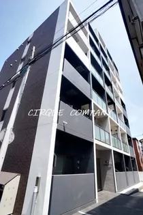 エーデルワイスの画像