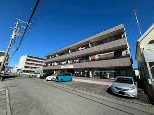 アンジェリークの画像