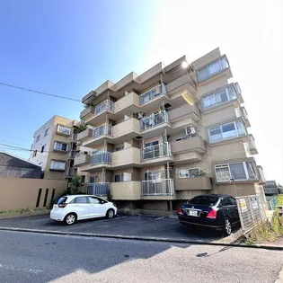 エクセル苗代の画像