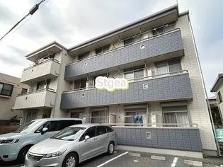 エバーグリーンの画像