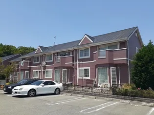 アンジェリークの画像