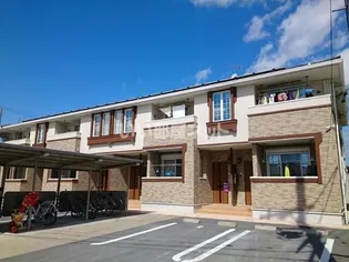 ブローテ プリムラの画像