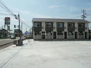 サンキストの画像