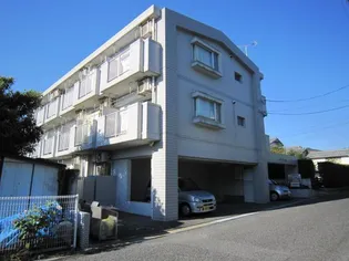 シャトレ城ヶ丘【1階】の外観