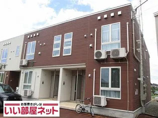 ステラ リーヴァⅣの画像