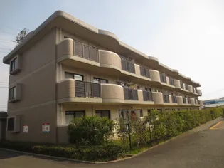 シェルコーポM Nの画像