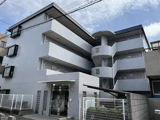 アルトシュタットの画像