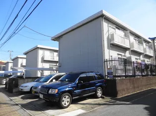 ルピナスの画像