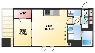グランプラス谷町【3階】の間取り