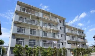 マイン96の画像