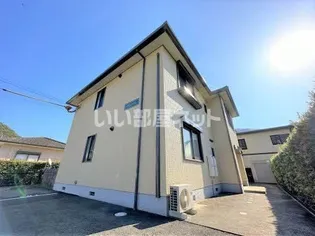 バリュージュの画像