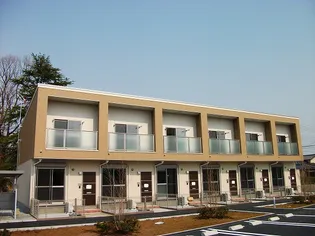 桜コートの画像