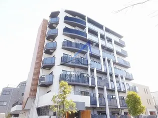 プルメリアの画像