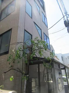 第56シンエイビルの画像