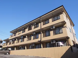 ソレイユの画像