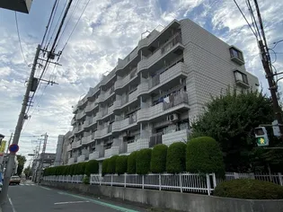 カーサイズミの画像