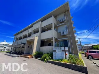 徳島県徳島市住吉4【アパート】の外観