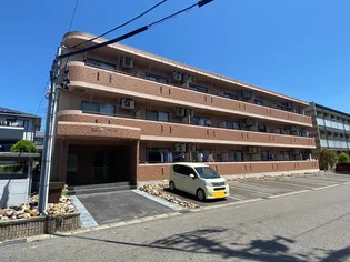 RIMP竹ノ山の画像