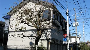 東京都練馬区立野町【アパート】の外観