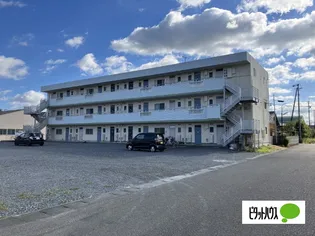 プラタナス30の画像