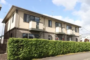 カシオペアの画像