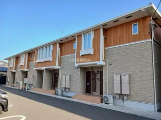 ガーベランスAの画像