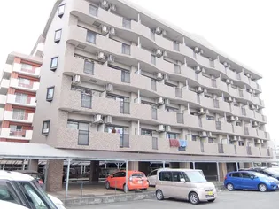 カステーロ ヴェルデの画像