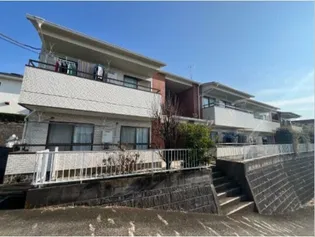 モアクレストの画像