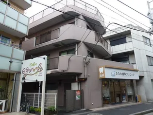 フェリシダキクチの画像