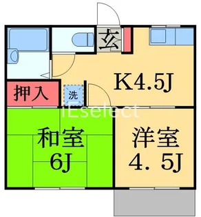 レピュートM【1階】の間取り