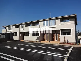 シュ シュの画像