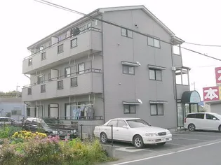 シーバードの画像