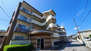 パレス南国【3階】の外観