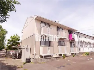 パラシオンの画像