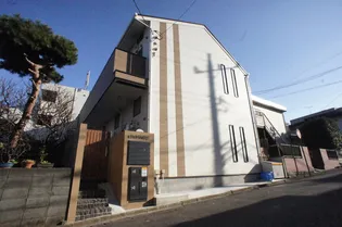 モンステラ枡形の画像