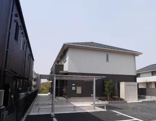 コリーナの画像