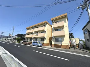 アイドルコートの画像