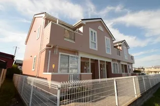 プリムローズの画像