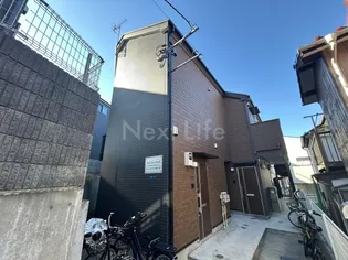 リブ白楽Bの画像