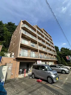 ベルパーシモンの画像