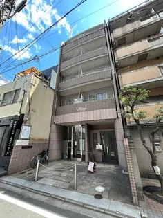 エクセル錦の画像