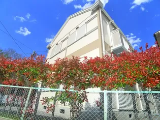 ツインハイム【1階】の外観