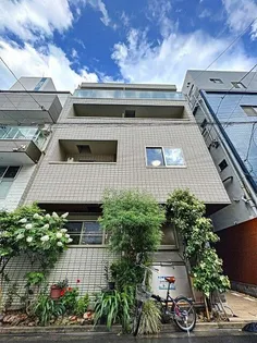 LUNA STELLAの画像